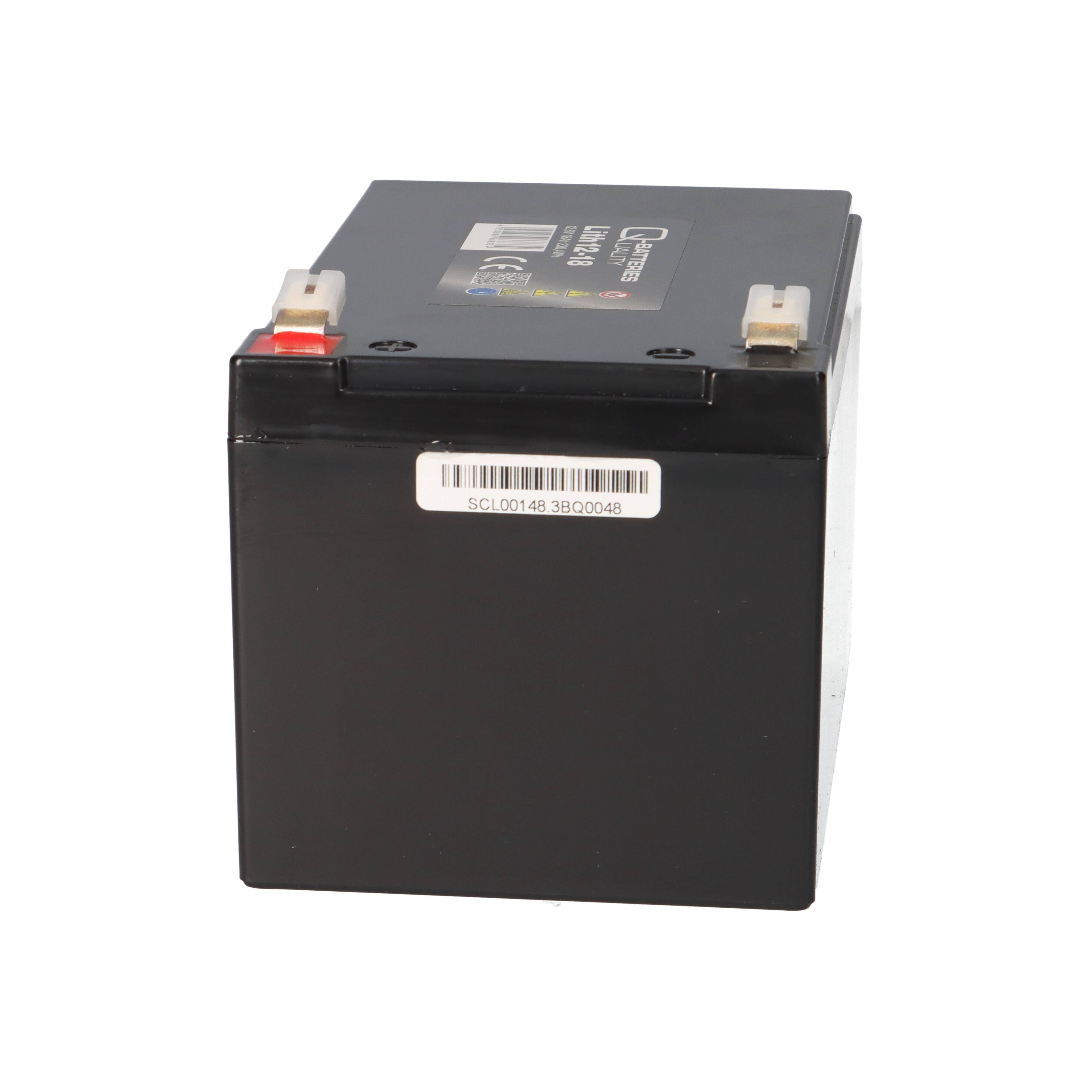 Q-BATTERIES 13973, 1x -04250889668334