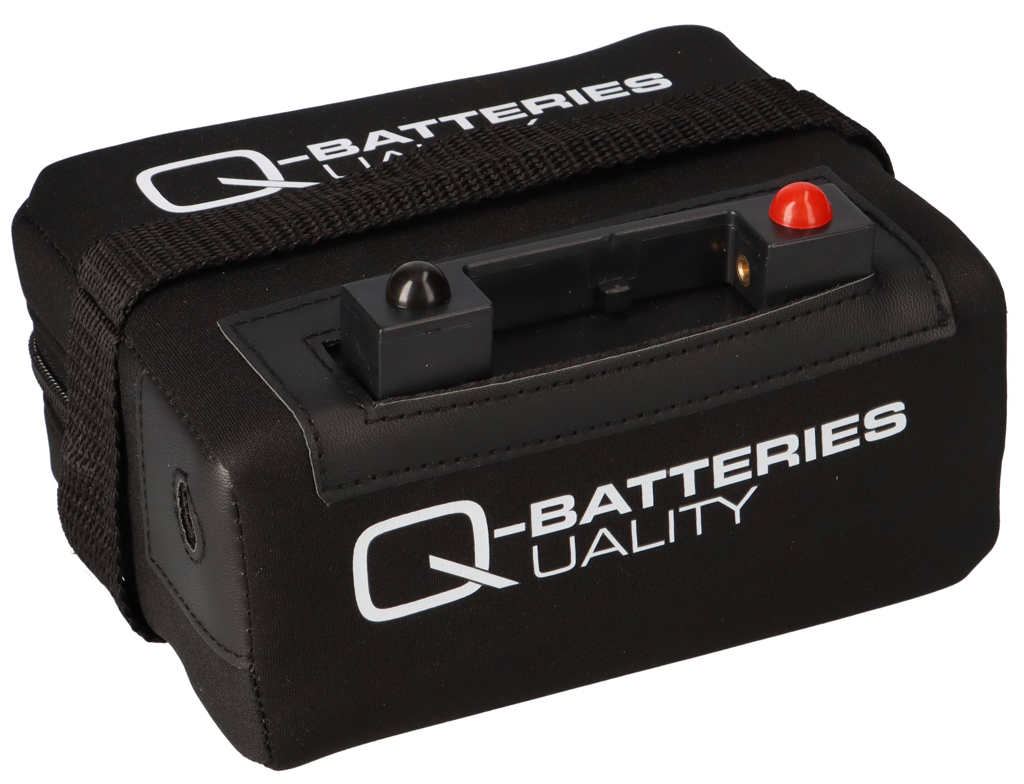 Q-BATTERIES 13968, 1x -04250889612504