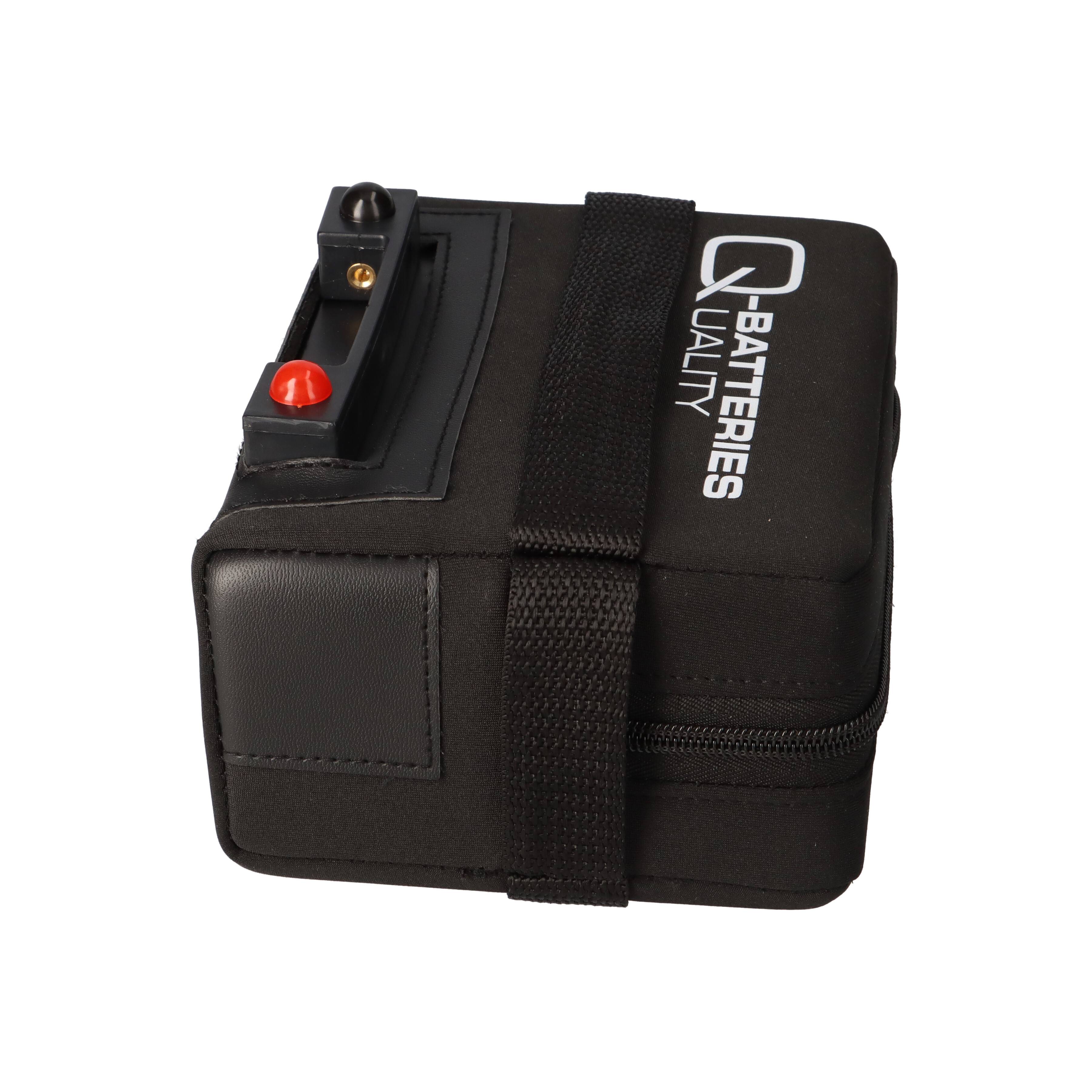 Q-BATTERIES 13968, 1x -04250889612504