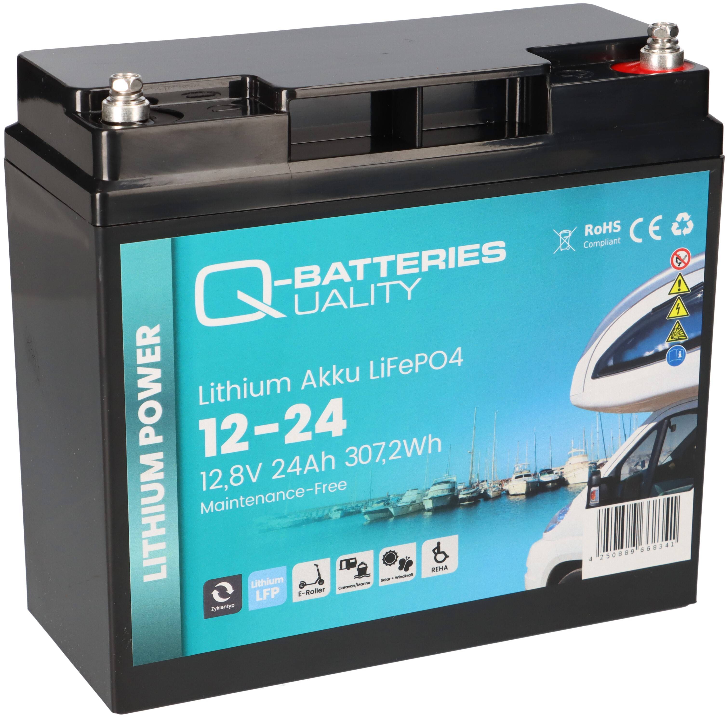 Q-BATTERIES 13969, 1x -04250889668341