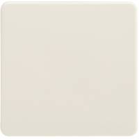 Schneider Electric Wippe 213600 Universal-Kreuzschalter/Taster pw - Schlüssel -