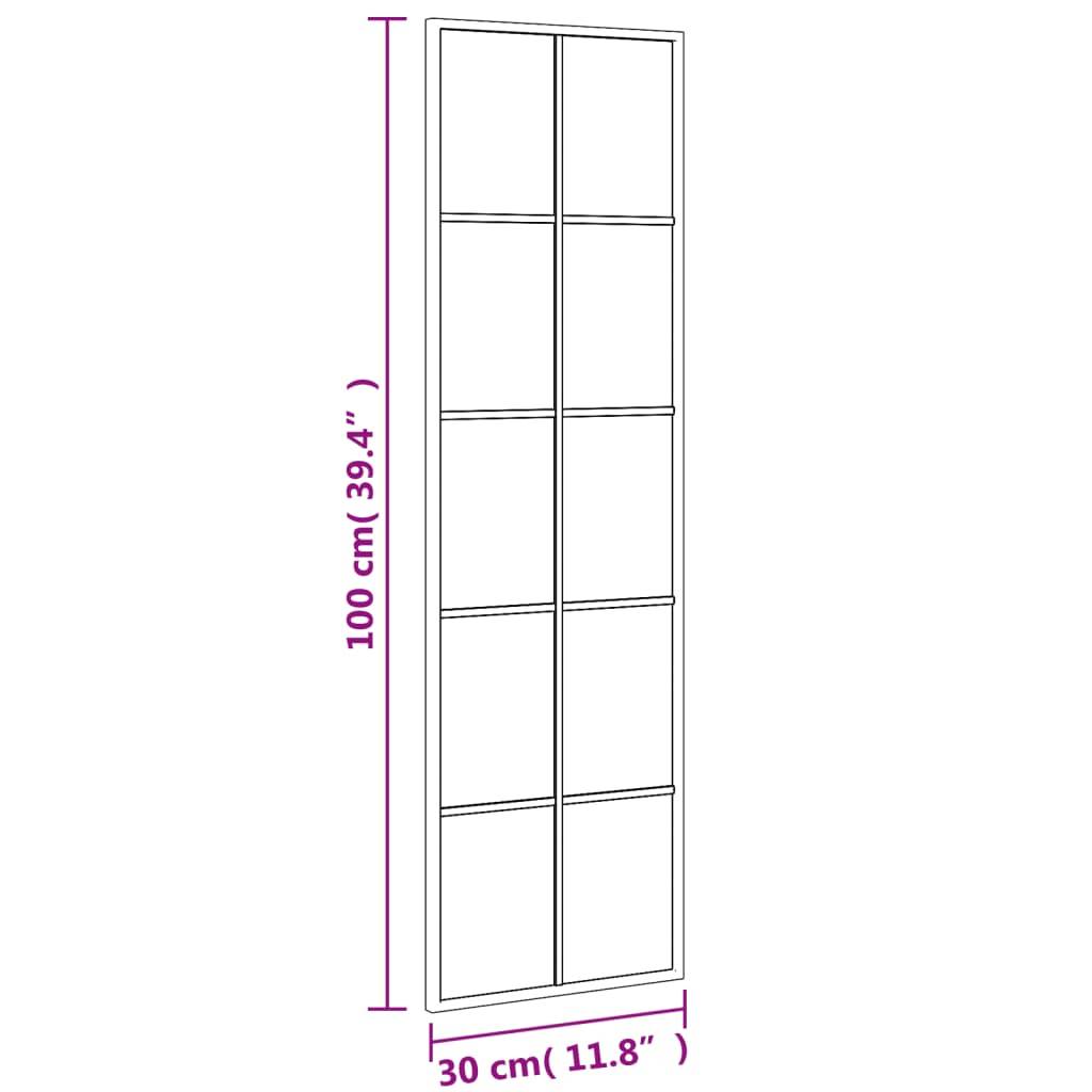vidaXL Wandspiegel Schwarz 30x100 cm Rechteckig Eisen