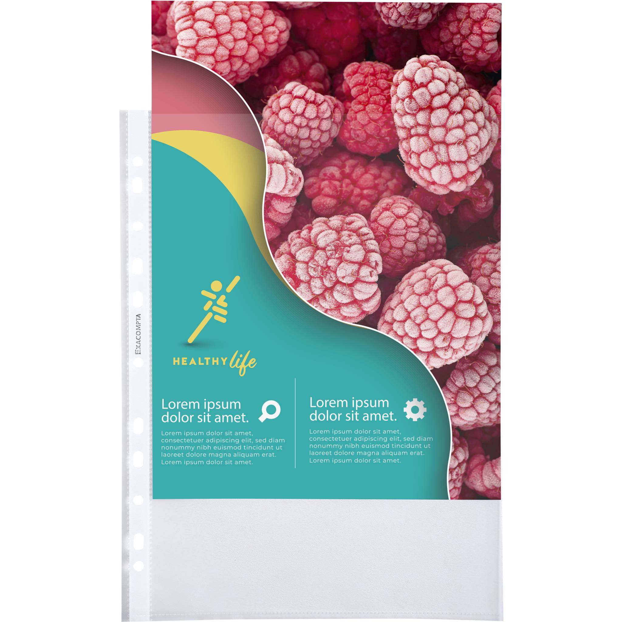 Exacompta 10x Pack 100 Prospekthüllen A4 PP genarbt hohe Qualität Kristall 5760E