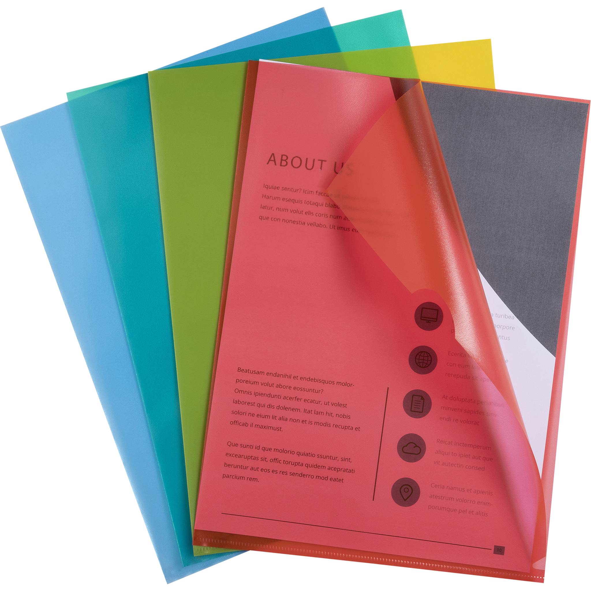 Exacompta 10x Pack 100 Sichthüllen A4 PP genarbt ökonomisch sortiert 57119E