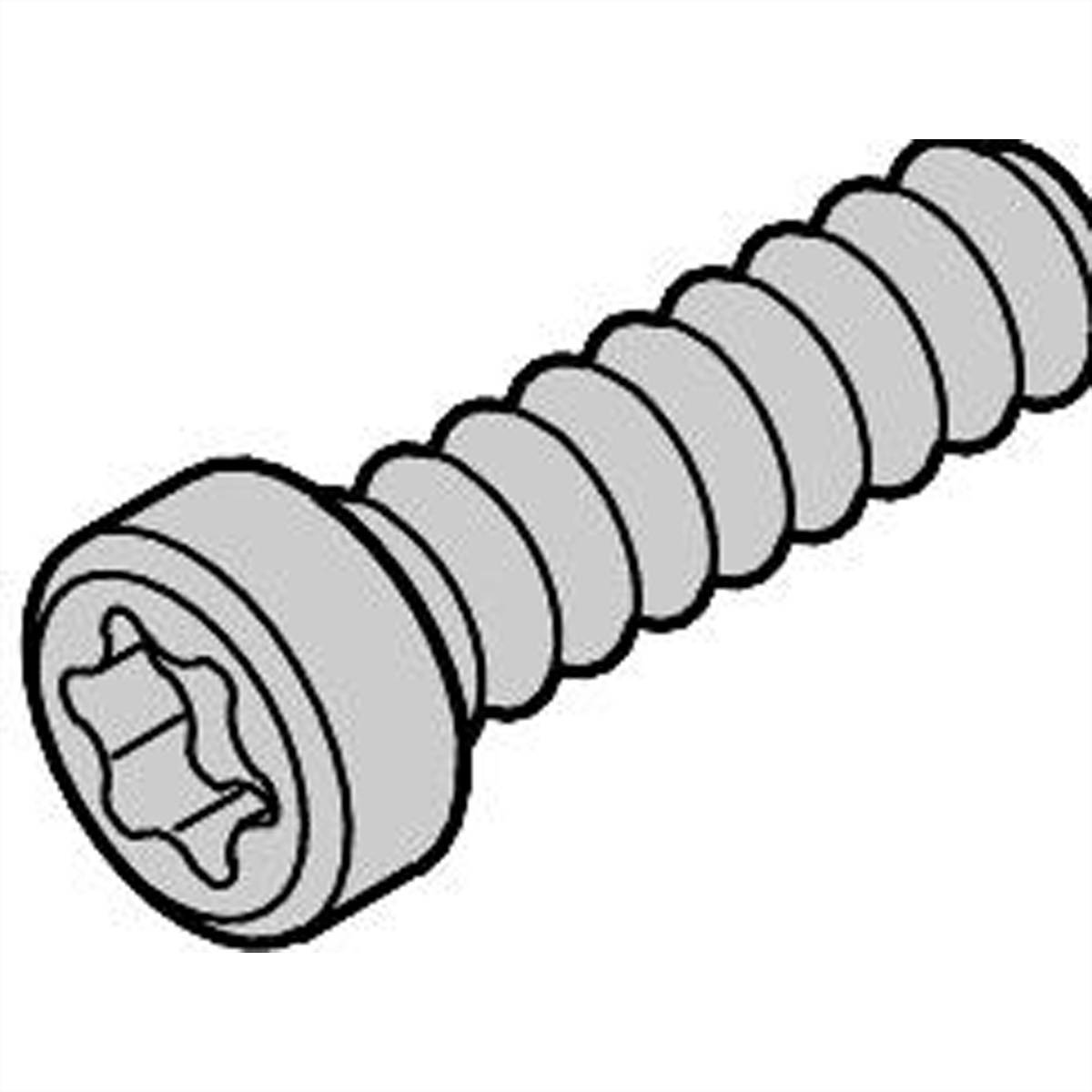 SCHROFF Linsenkopfschraube - LIKOSHR M2.5X10 PENTORX 100X