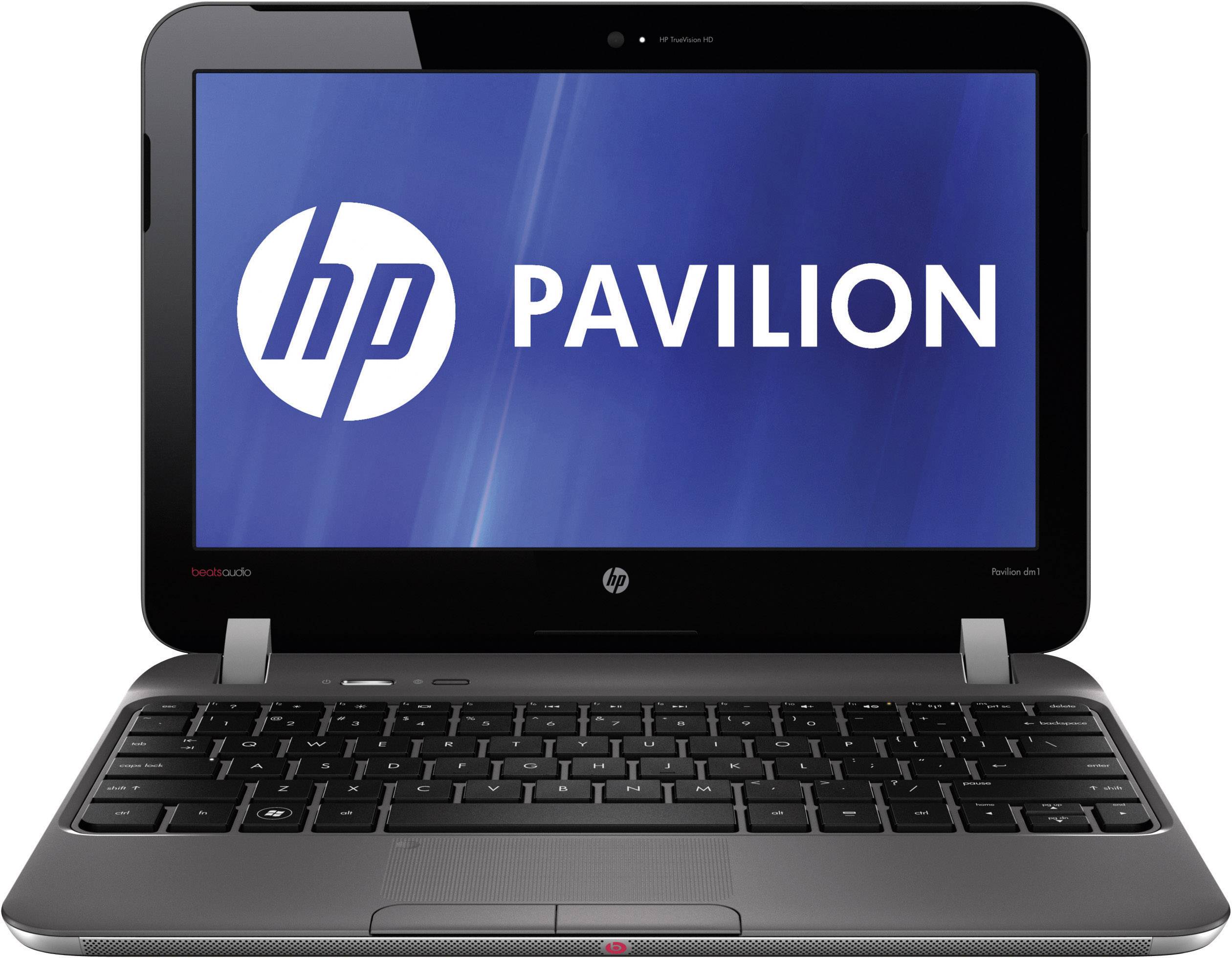 HP Netbook () DM1-4100EG
