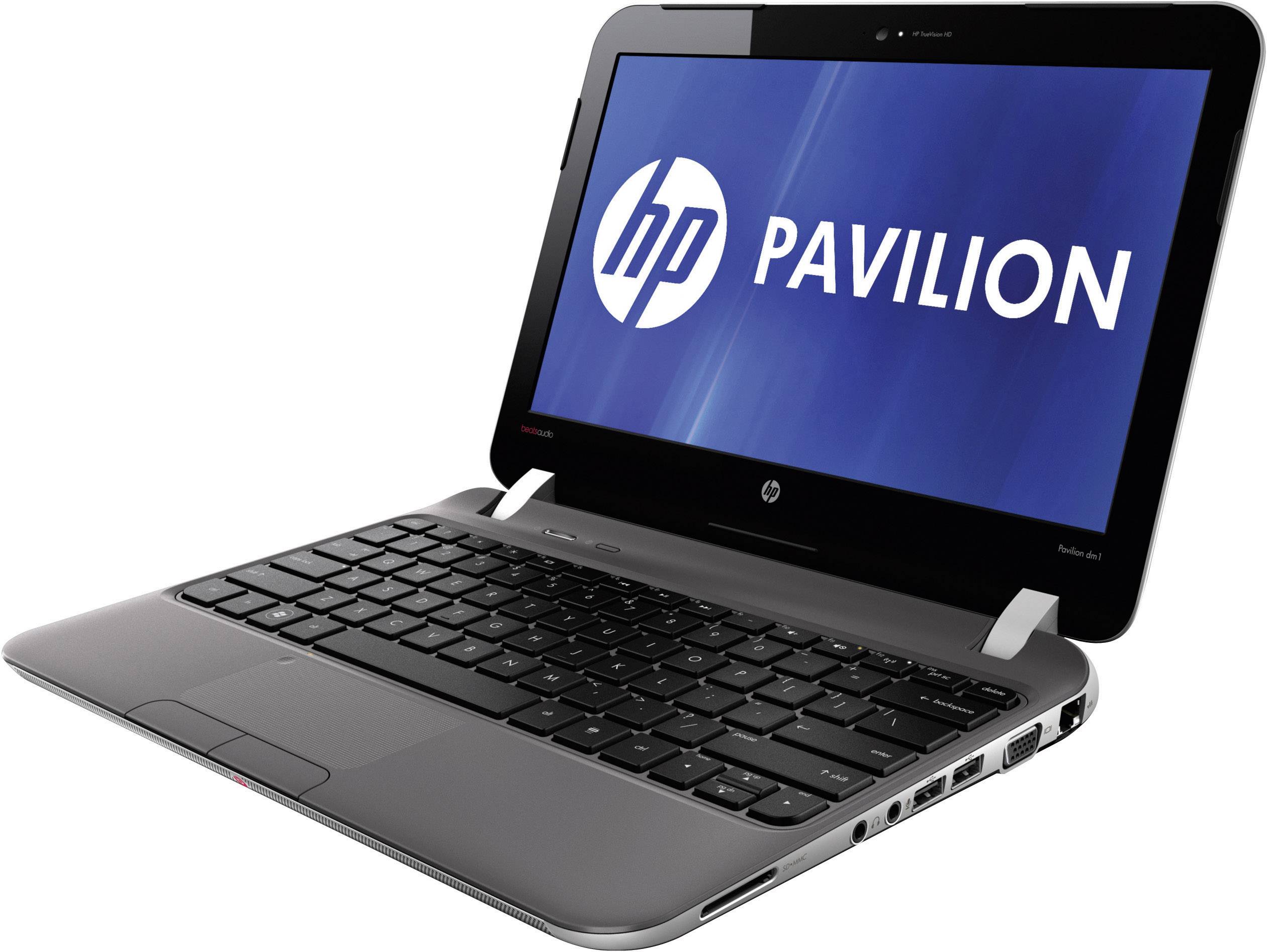 HP Netbook () DM1-4100EG