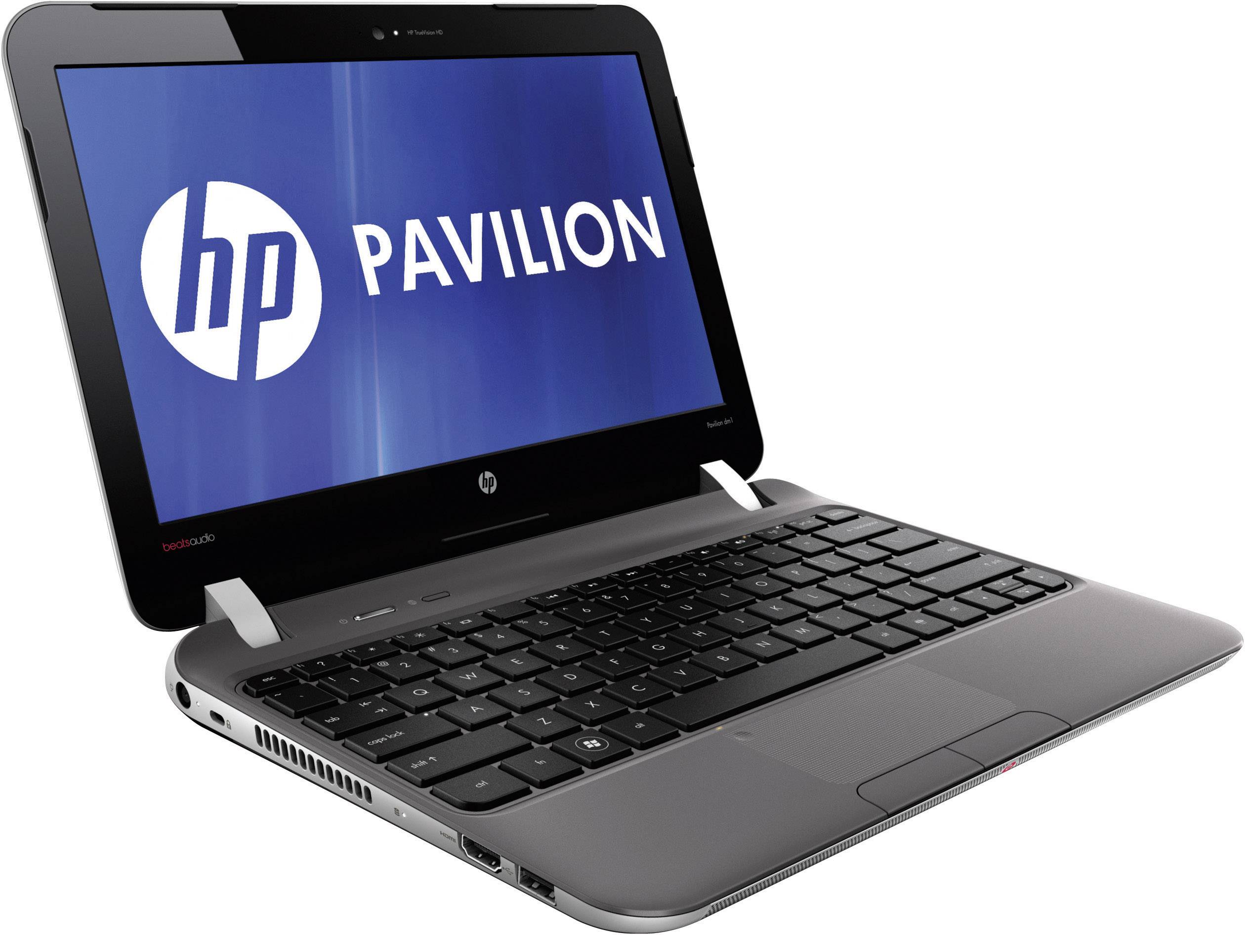 HP Netbook () DM1-4100EG