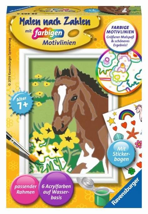 Malen nach Zahlen Fohlen ab 7 Jahren