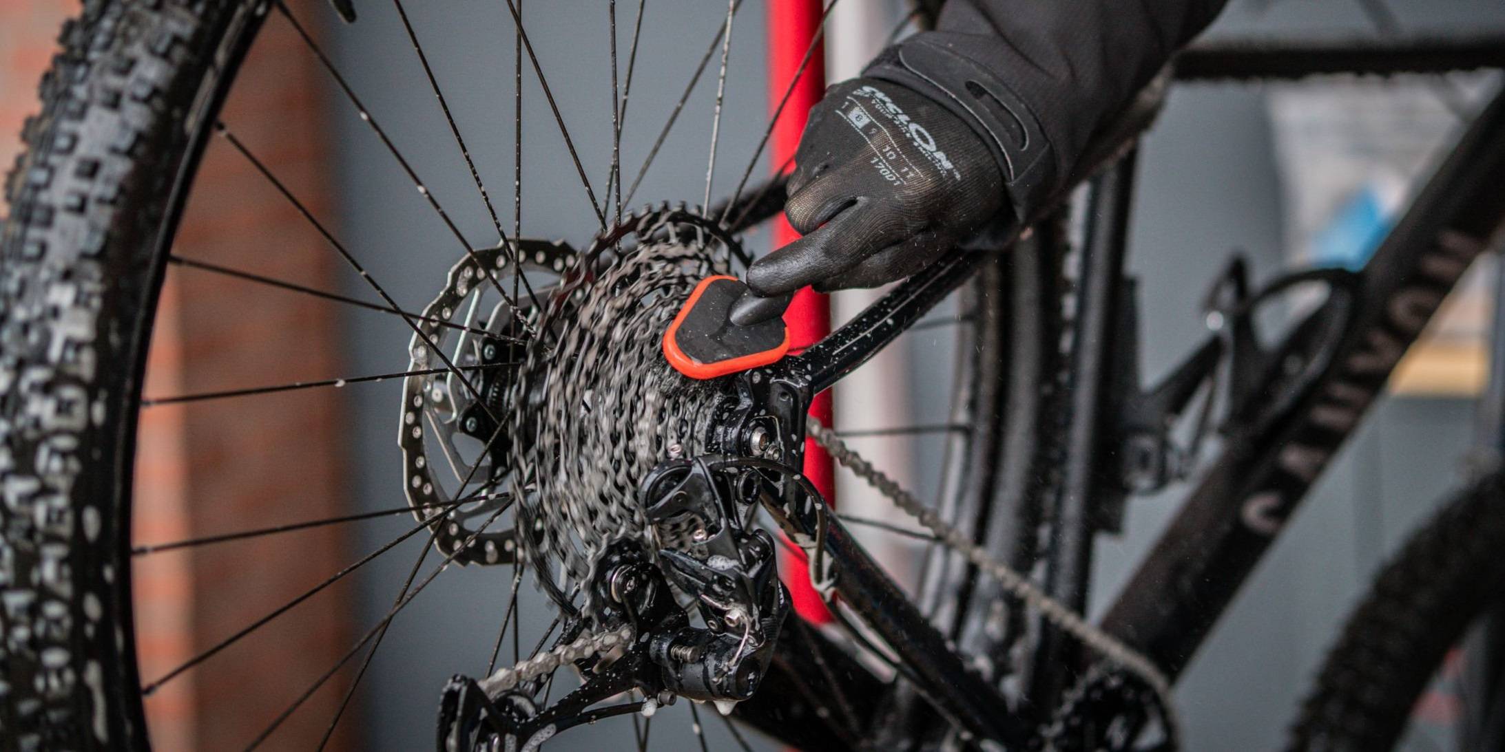 Reinigung von Bürsten Cyclon Detaillierung Pinsel B-040