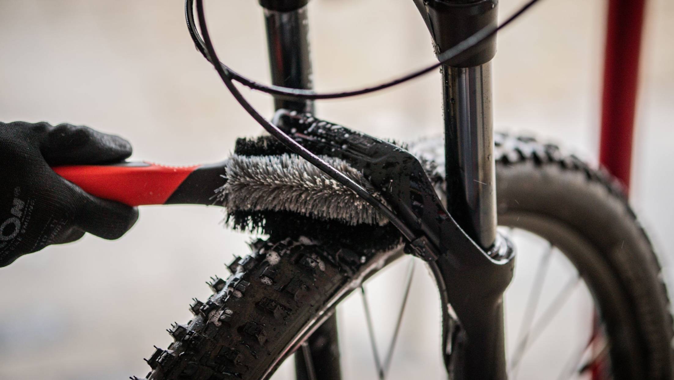 Reinigung der Cyclon-Radkomponente B-020