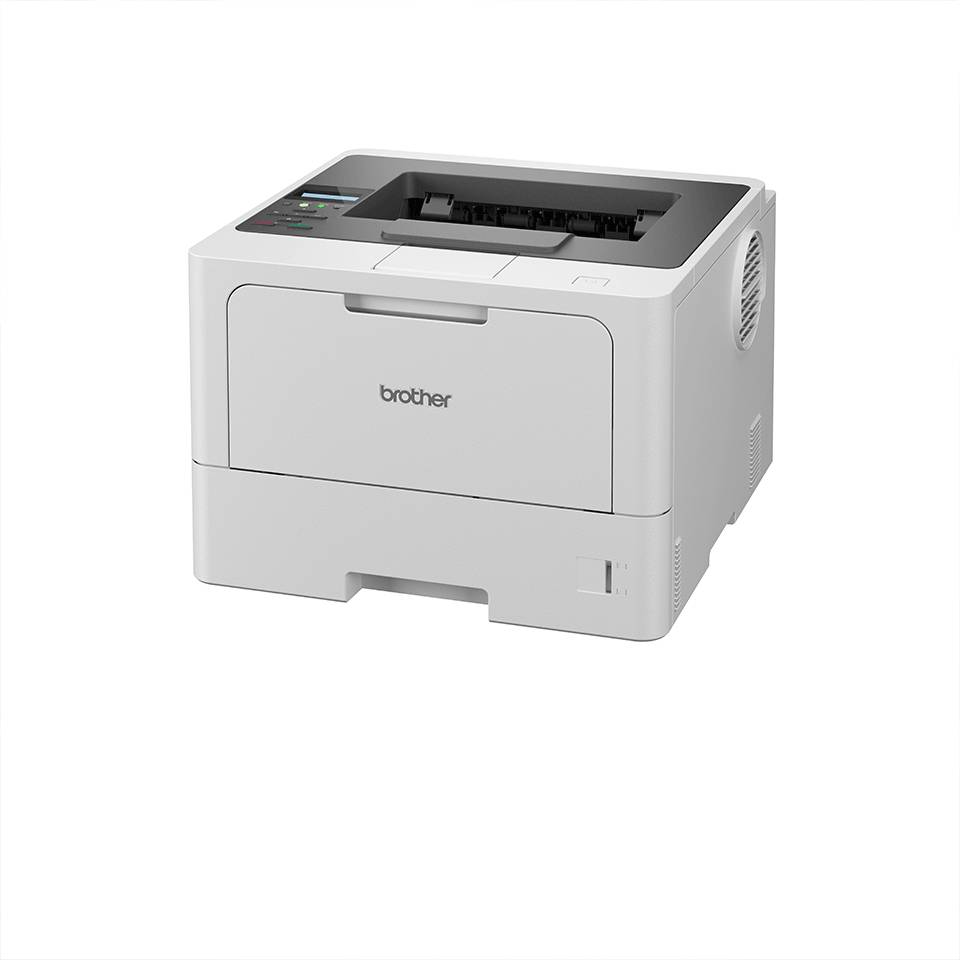 Brother HL-L5210DW - Drucker - s/w - Duplex - Laser