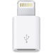 Adaptateur Apple Lightning vers micro USB (Bulk-Ware / OEM)