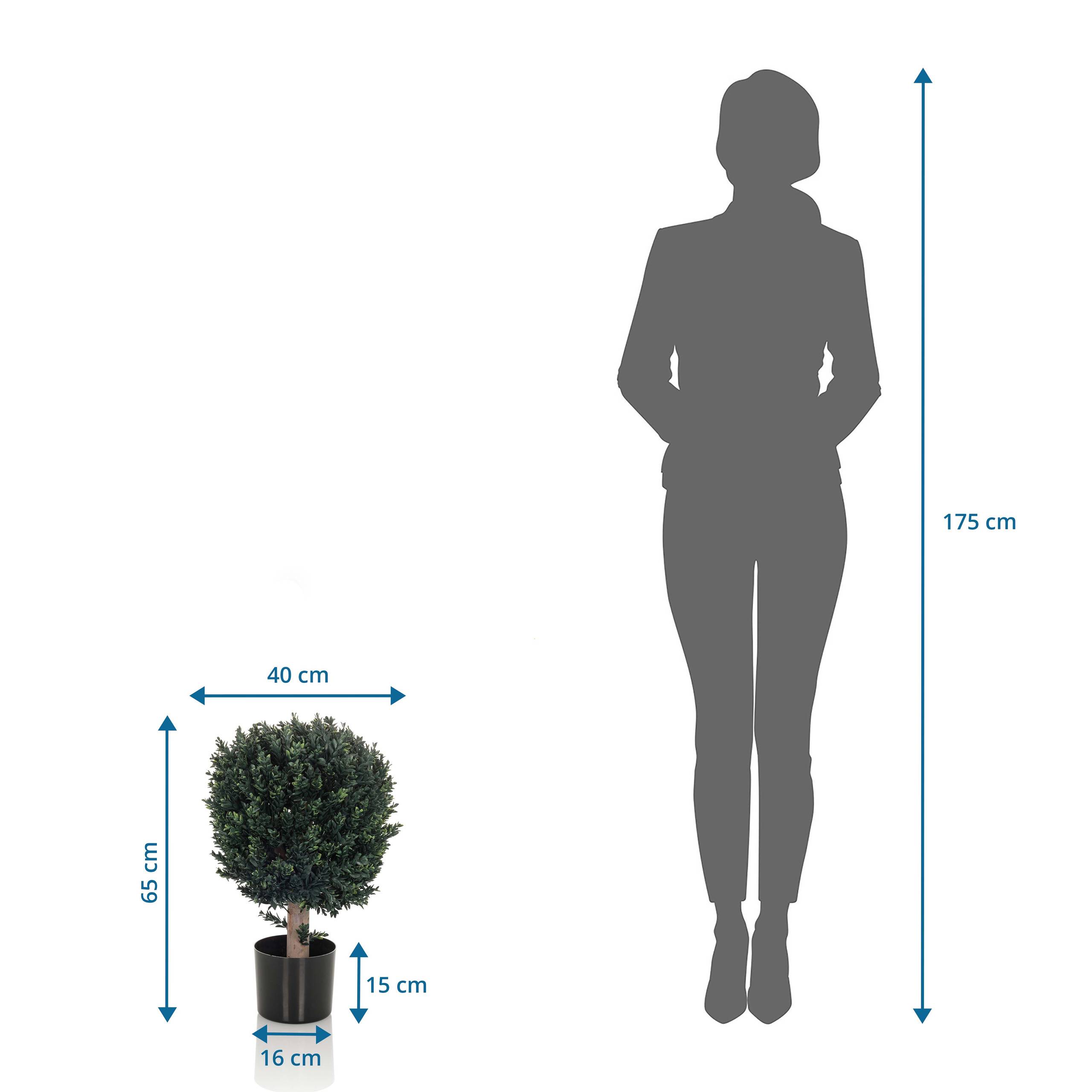 Kunstpflanze Kunstbaum BUXUS 65 cm grün hjh OFFICE