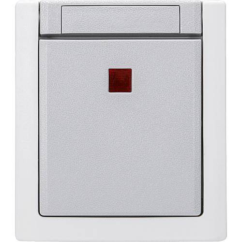 Pacific FR Taster beleuchtet grau 90591014-DE