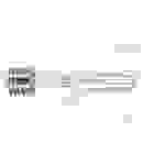 Sigor LED-Filament Rustica E27 7W klar 806lm 6136201 / 6101901