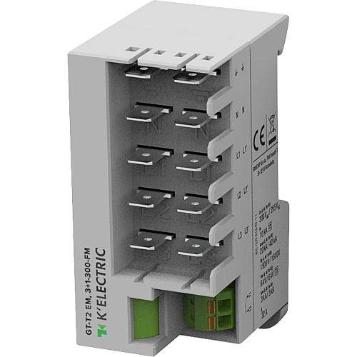 Wallboxableiter GT T2-EM, 3+1-300-FM 500315