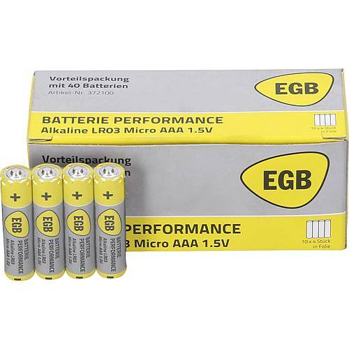 EGB Alkaline-Batterie-Vorteilspack Micro LR3