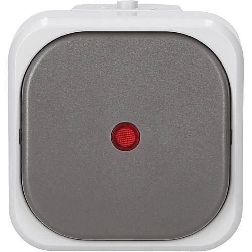 AQUA-TOP FR Kontroll-Wechsel-Schalter grau 11645