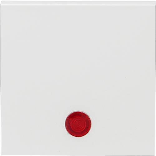 V55 Wippe Kontroll rw mit Symbolstreifen