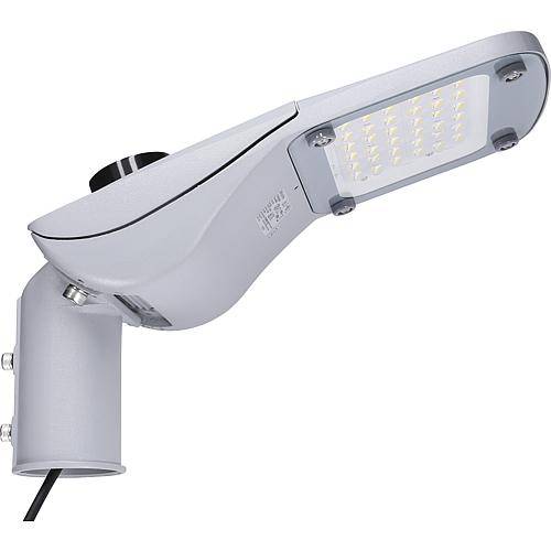 LED's light PRO LED Straßenlaterne grau 60W neutralweiß IP66