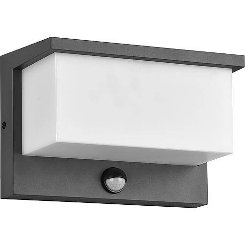 LED-Wandleuchte anthrazit 'Nestos' IP54 13W 3000K