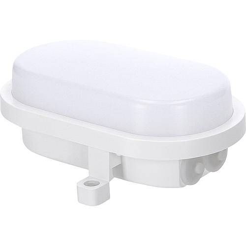 EGB LED Ovalarmatur IP65 4-9W + CCT, weiß 2700/4000/6500K - 4W/7W/9W einstellbar