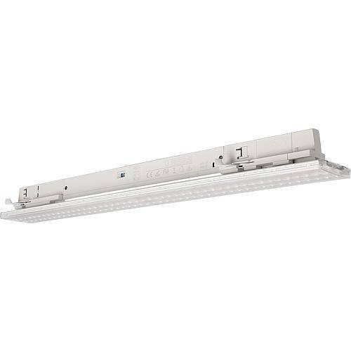 3-Phasen-LED-Einsatz 60ø, 20W 4000K, weiß