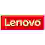 Lenovo ThinkSystem - Festplatte - 20 TB - Hot-Swap - Festplatte - Serial
