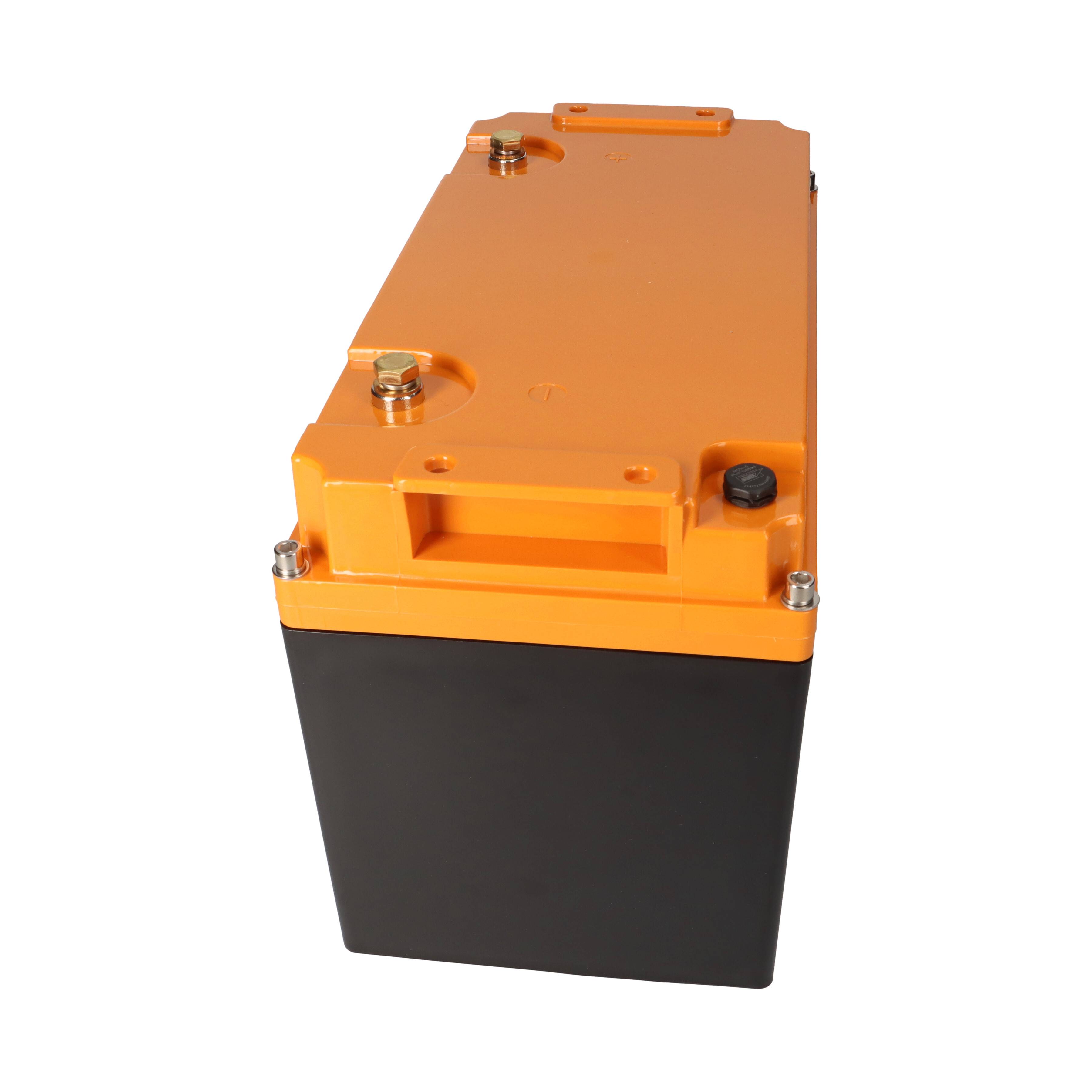 LIONTRON LiFePO4 Akku 12,8V 100Ah LX Arctic smart BMS mit Bluetooth, Marine IP67