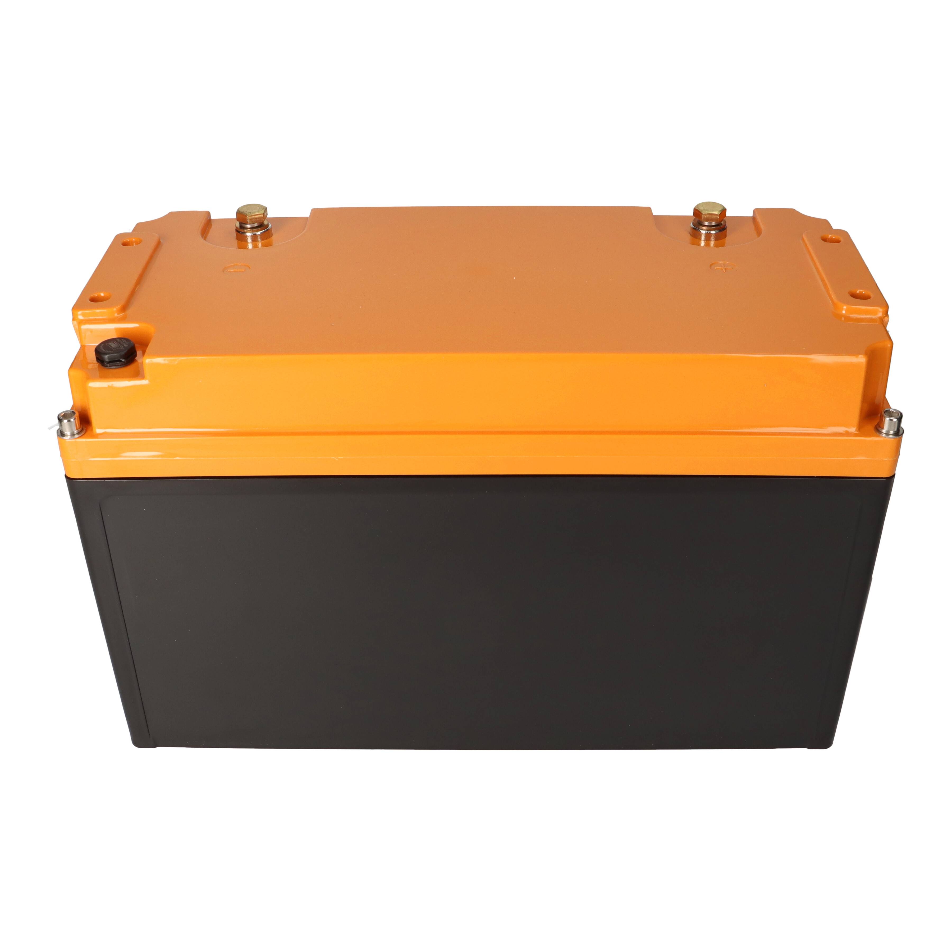 LIONTRON LiFePO4 Akku 12,8V 100Ah LX Arctic smart BMS mit Bluetooth, Marine IP67