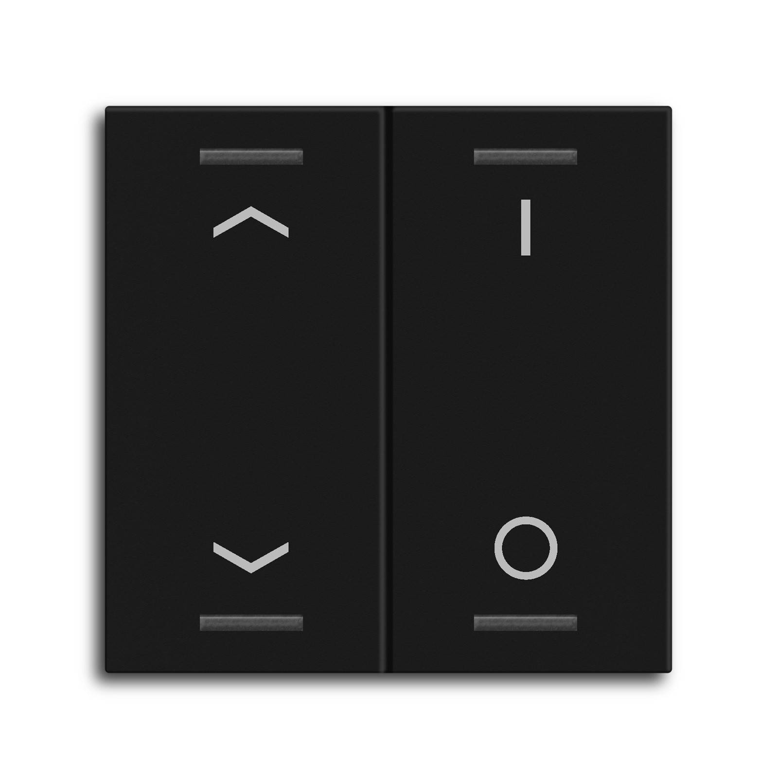 Wippe KNXTasterLight55 2f sw BE-TAL55W206.C1