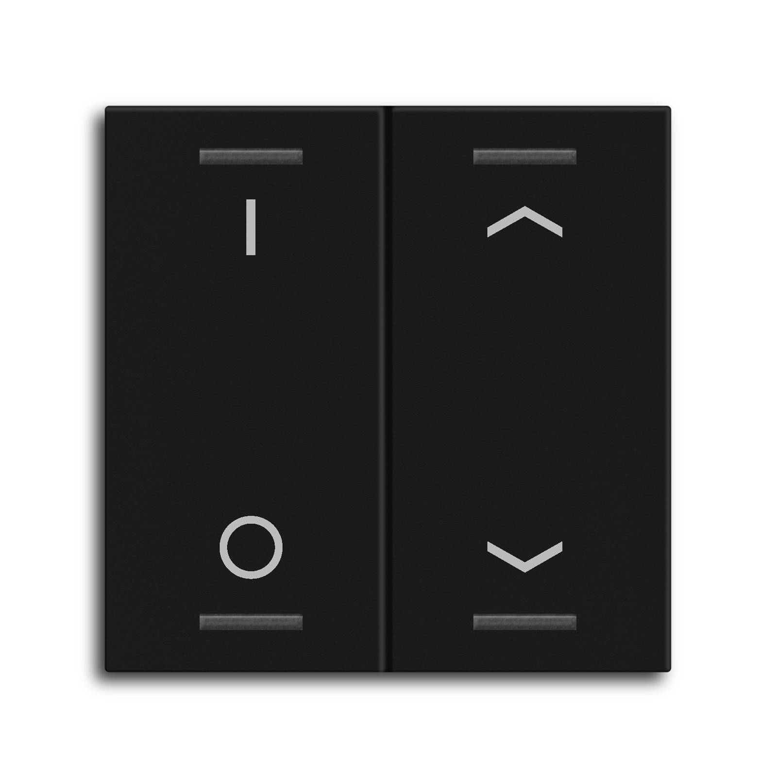 Wippe KNXTasterLight55 2f sw BE-TAL55W206.D1
