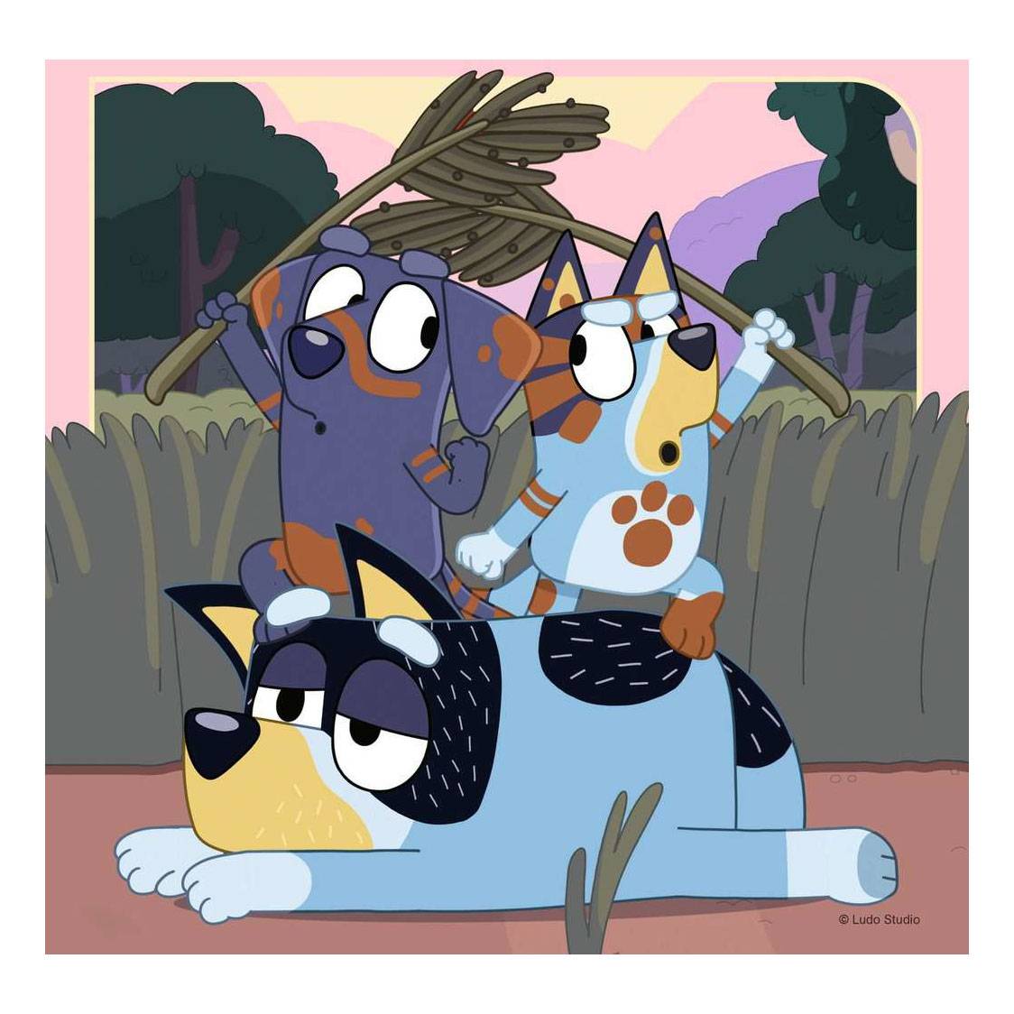 Ravensburger , 1x -04005556056859