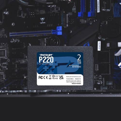 Patriot Memory P220 2TB SSDs Interne