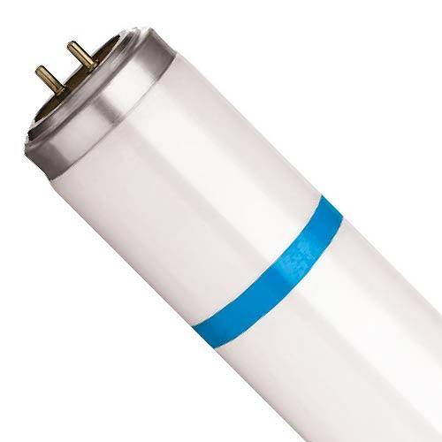 Philips Actinic UVA 15W T8 bruchfest 8711500898586, 1x -08711500898586
