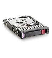 Hewlett Packard Enterprise 300GB 6G SAS 15K U/min SFF 2.5 (W125836875)