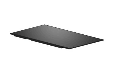 LCD RAW Panel 15.6 FHD AG L63565-001