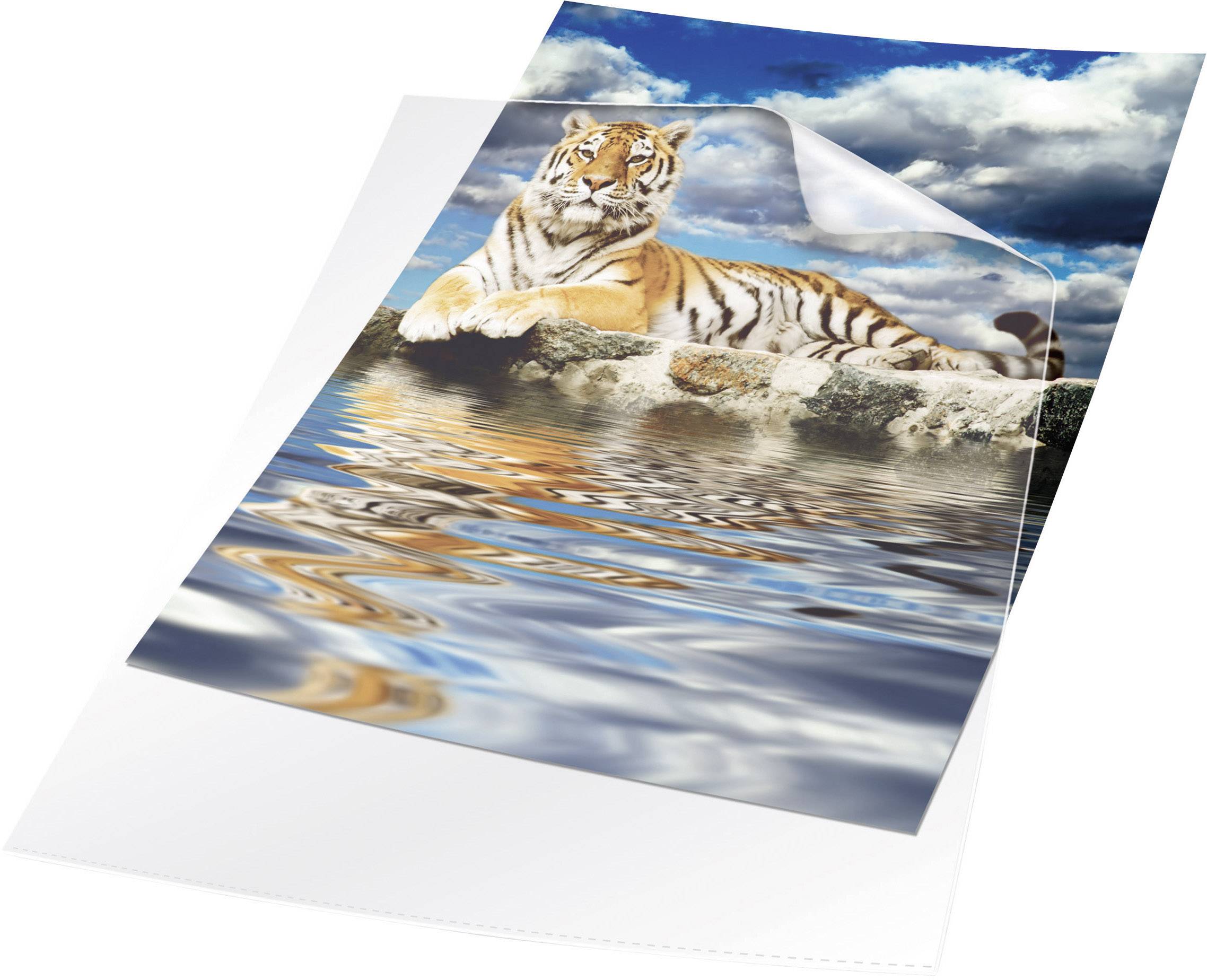 Durable Sichthüllen glasklar, 2335-19, DIN A4, strapazierfähig, reißfest, mit Griffausstanzung, 100 St.