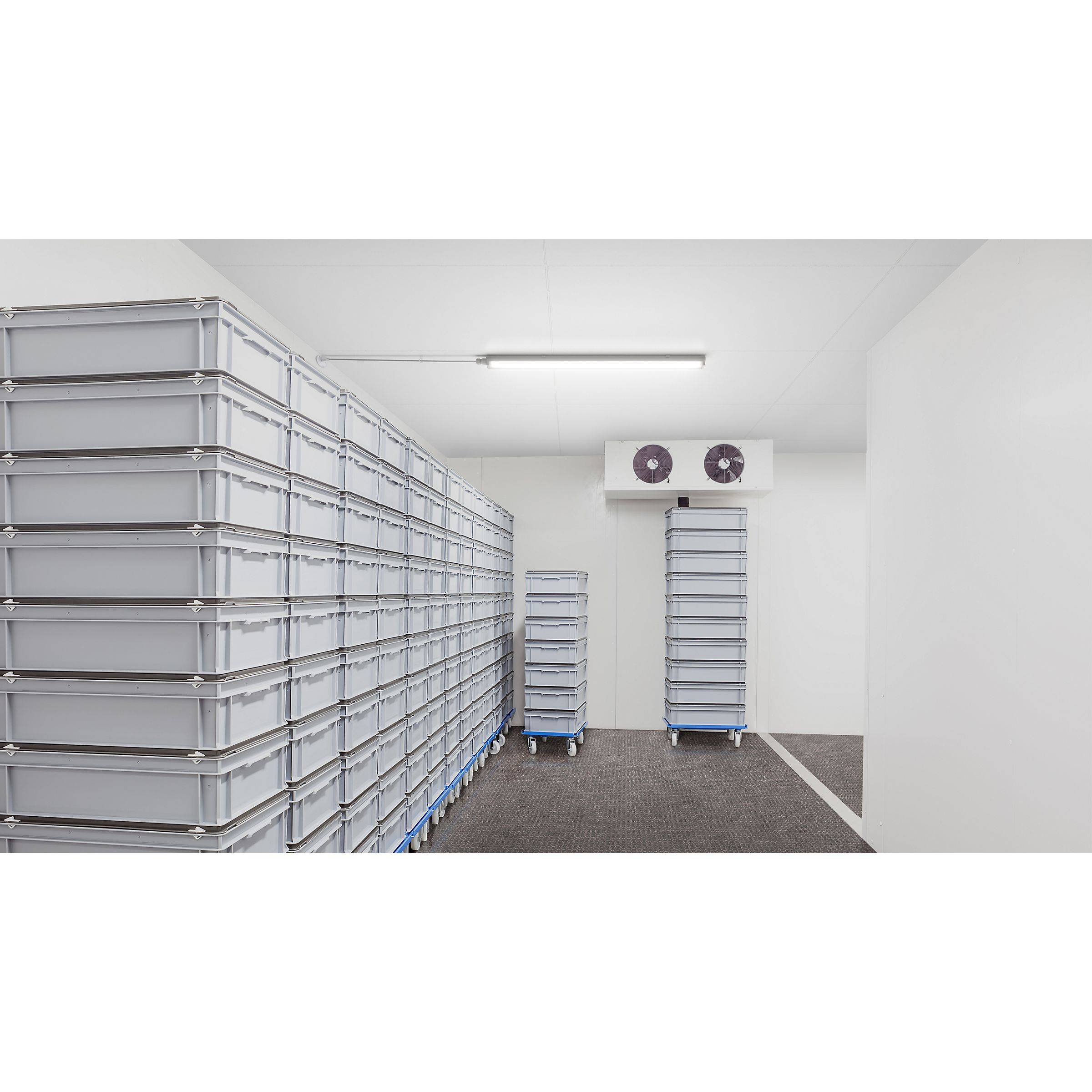 PHIL Ledinaire FR-Leuchte WT065C PC IP65 L=1500mm 30/53W 4100/6800lm 4000K Techn.Licht/Wohnraum