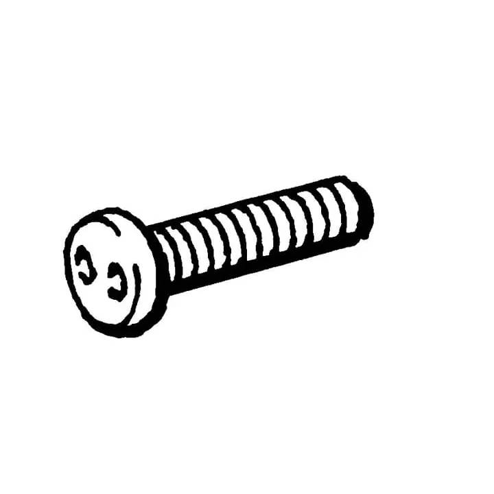Sicherheitsschraube SM4X20