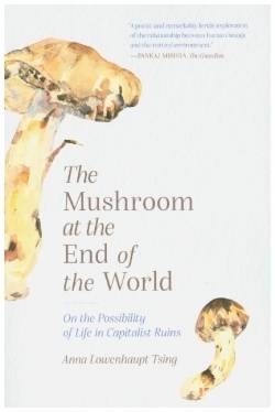 Princeton Univers. Press; Princeton Univ Pr | Mushroom at the End of the World | Tsing, Anna Lowenhaupt