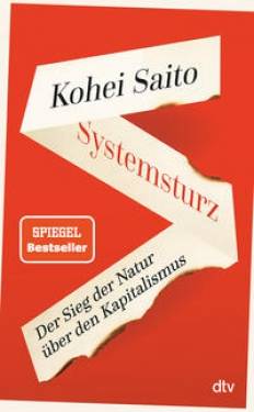 dtv Verlagsgesellschaft | Systemsturz | Kohei Saito; Gregor Wakounig
