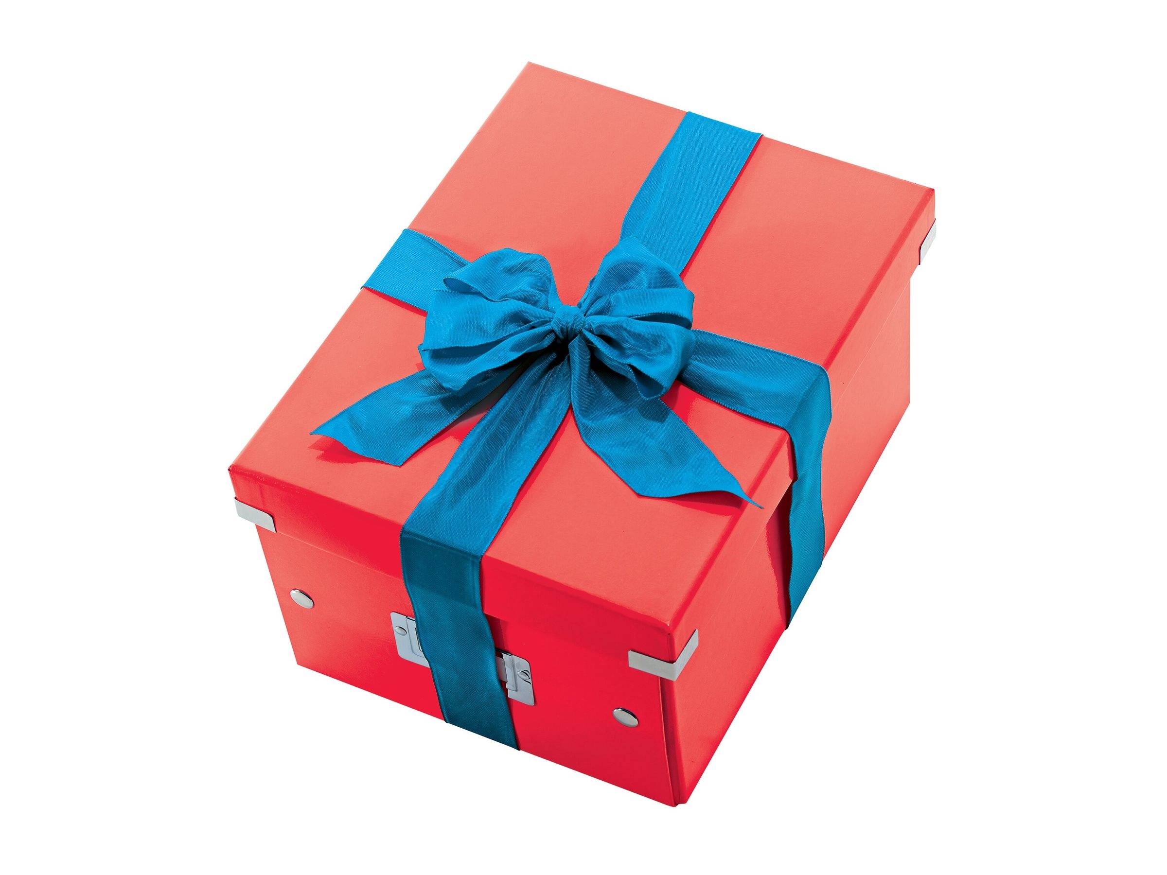 Esselte Leitz Click & Store WOW - Aufbewahrungsbox - groß - für A4 (210 x 297 mm)