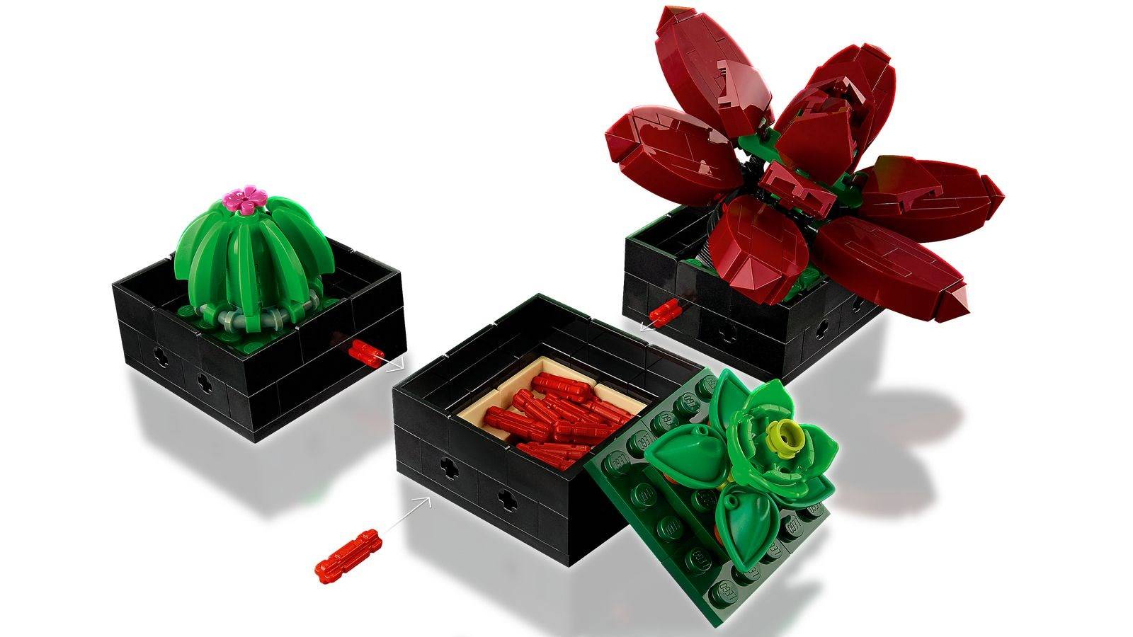 LEGO - Icons - Sukkulenten 10309