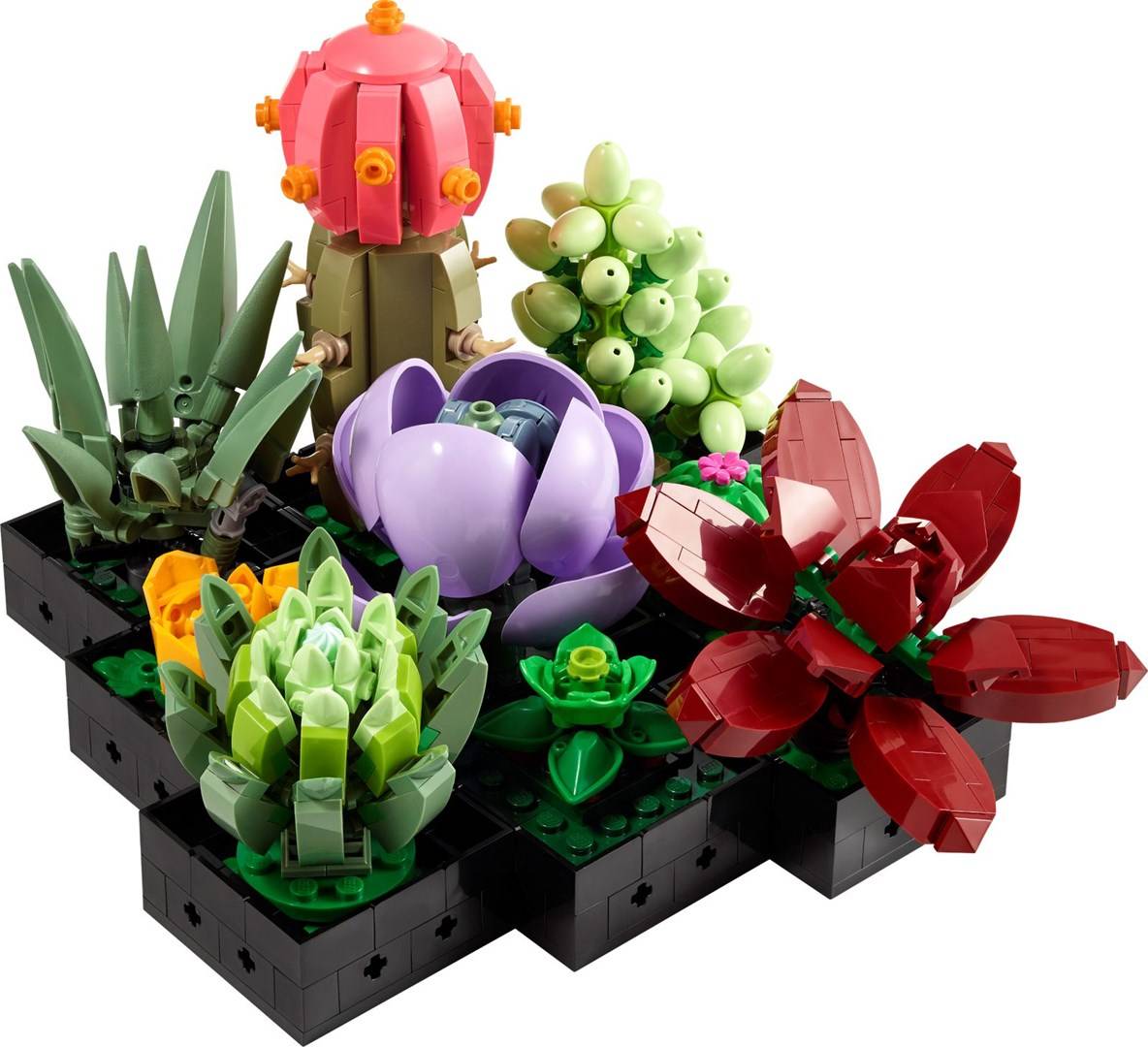 LEGO - Icons - Sukkulenten 10309