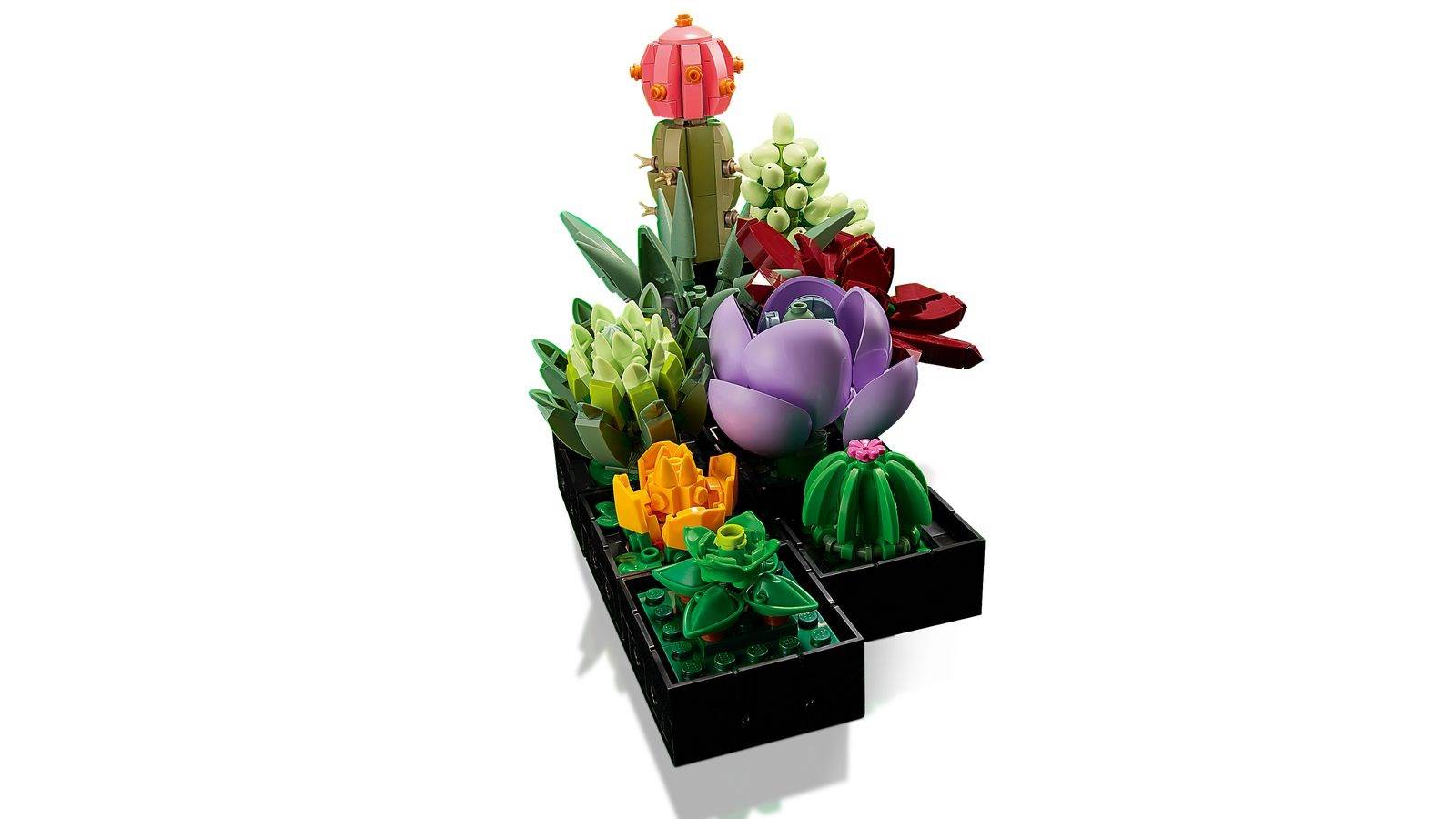LEGO - Icons - Sukkulenten 10309