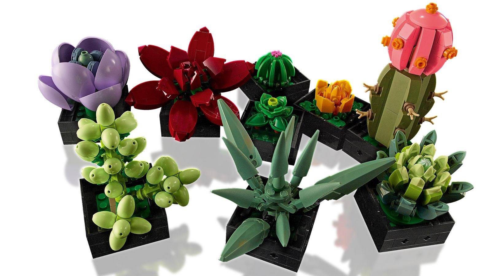 LEGO - Icons - Sukkulenten 10309