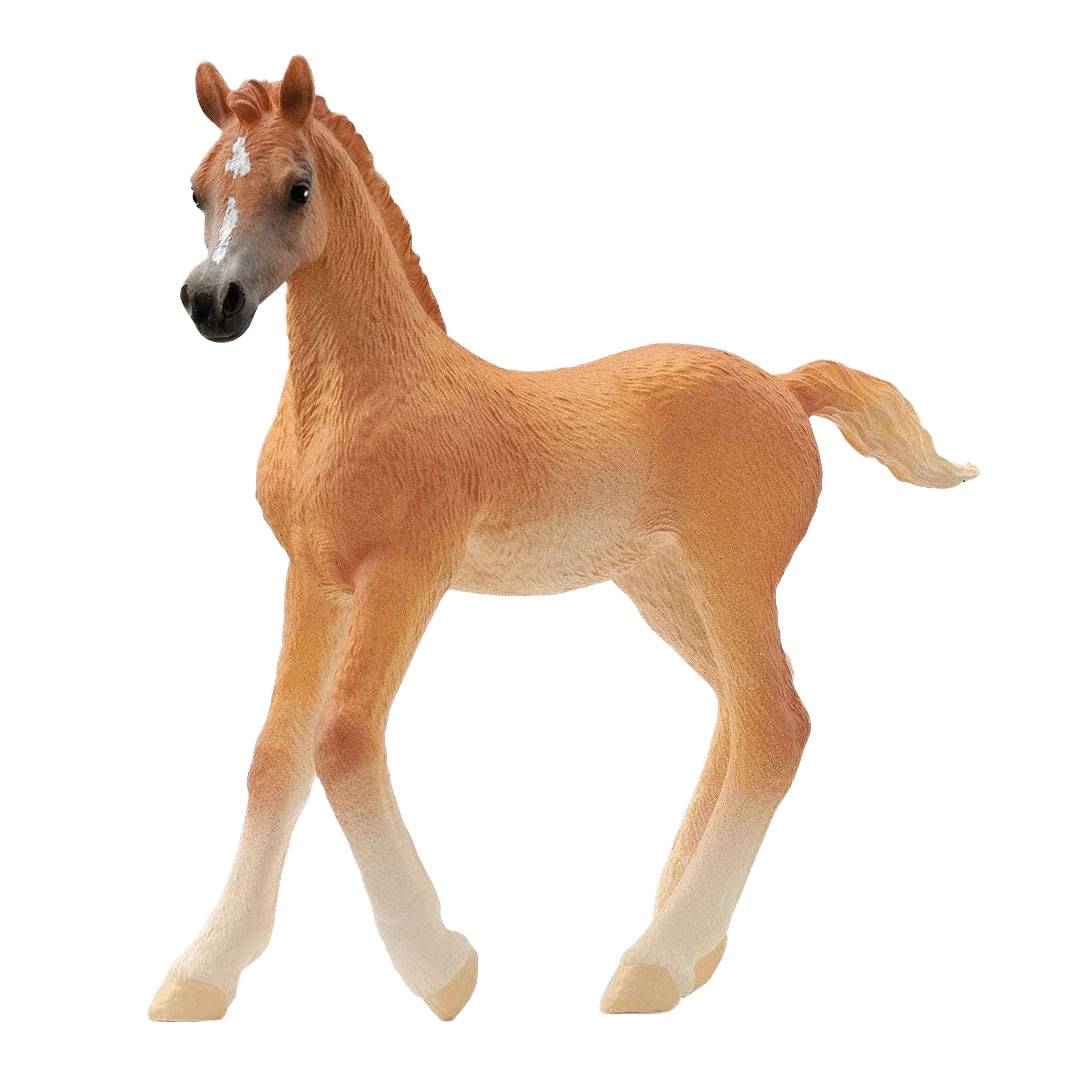 Schleich Schleiich Horse Club Arabisch Veulen 13984