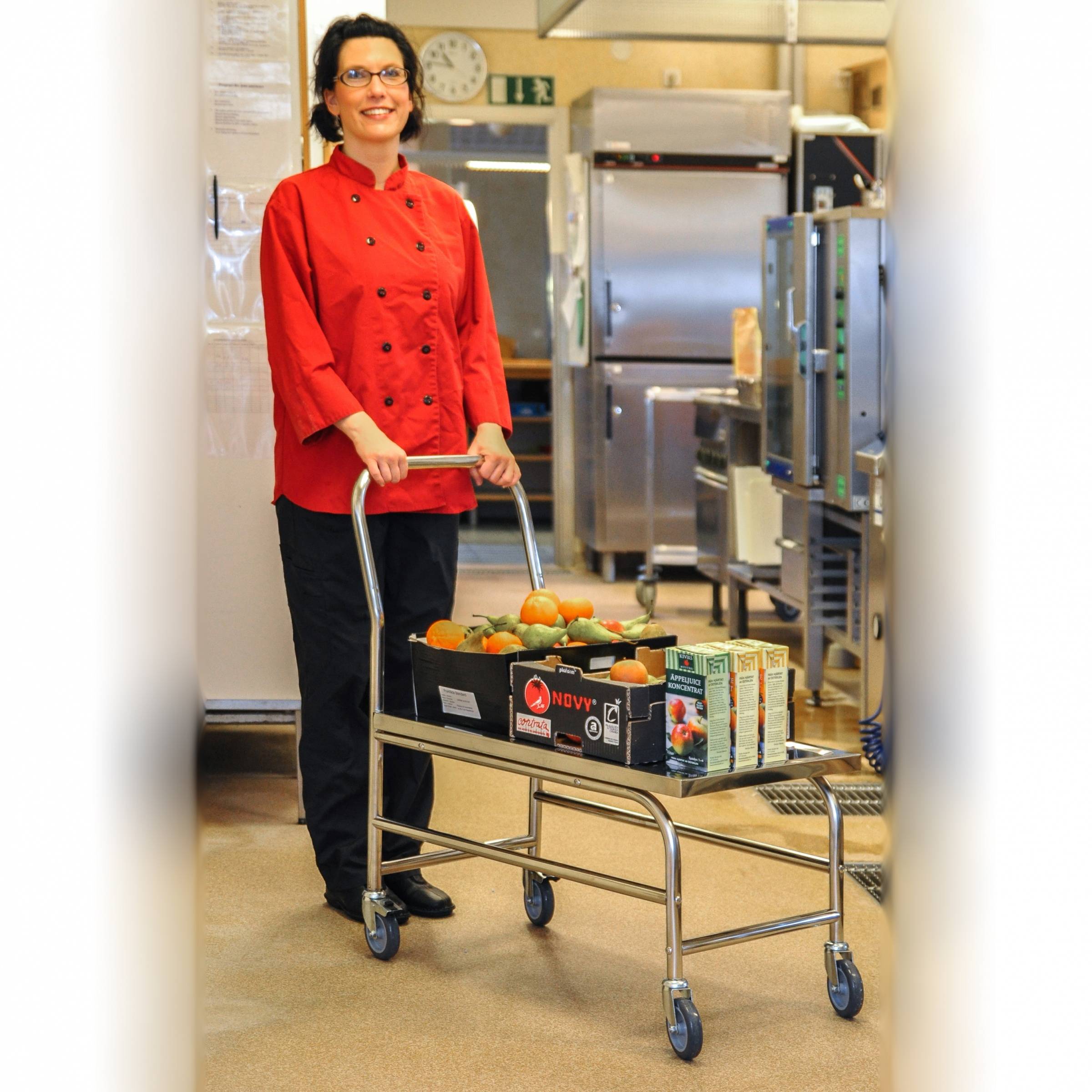 Kongamek Edelstahl- Plattformwagen komplett rostfrei mit Schiebegriff und Bremse 760x440mm Ladefläc